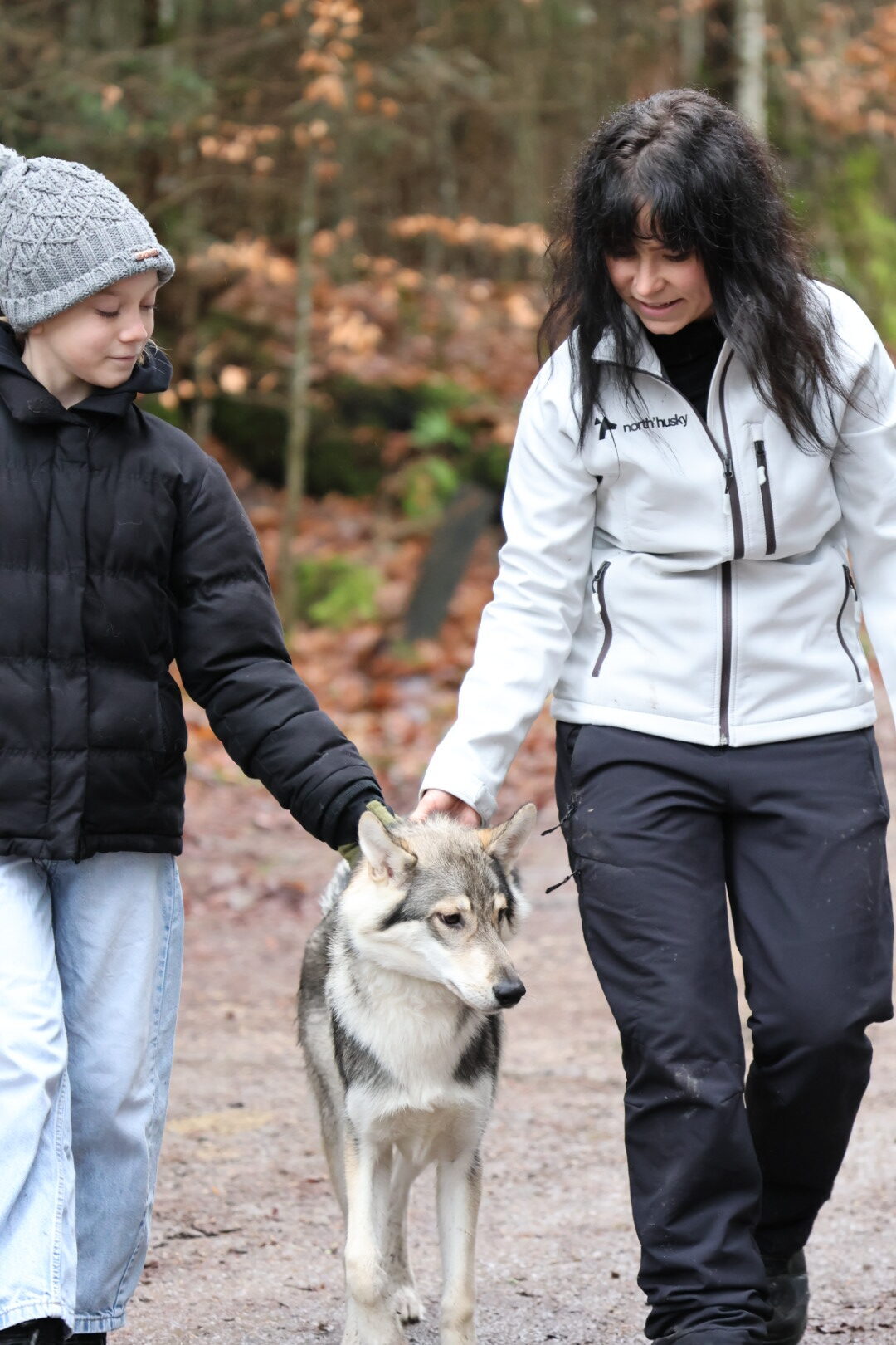 Husky lors d'une séance de zoothérapie en nature.