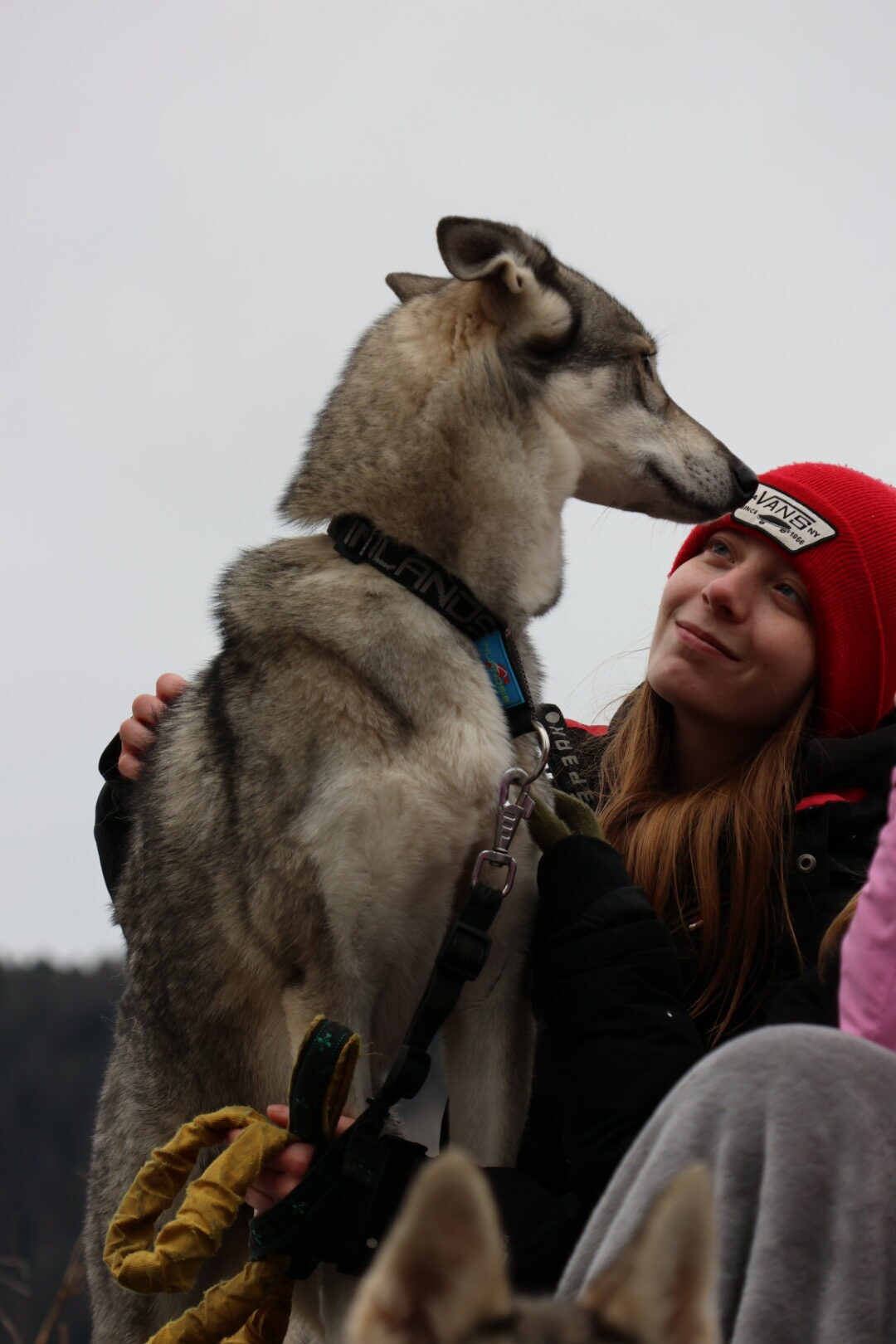 Chien Husky et jeune femme partageant un moment affectueux en plein air.
