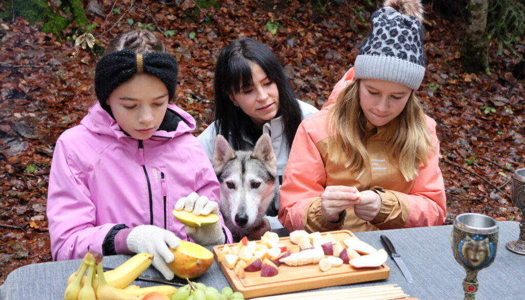 Balade en famille avec chiens lors d'un cani-rando pour enfants.