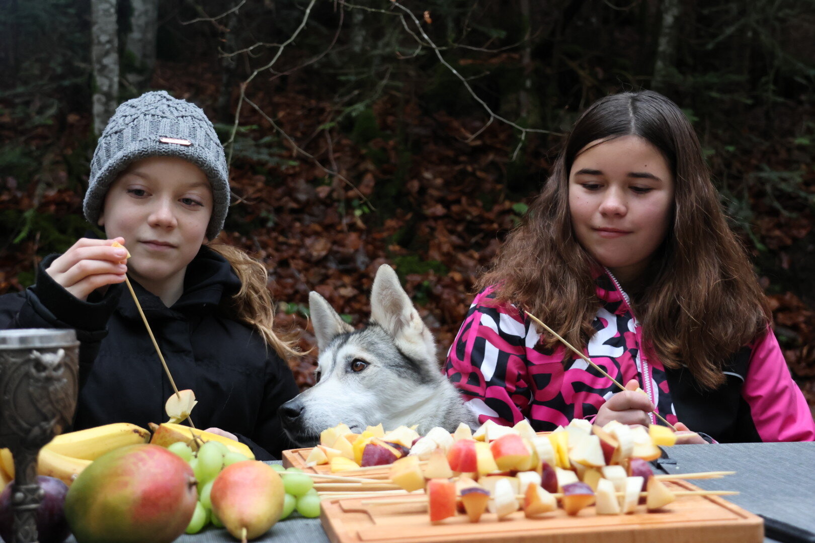 Balade en famille avec chiens de traîneau dans la nature.