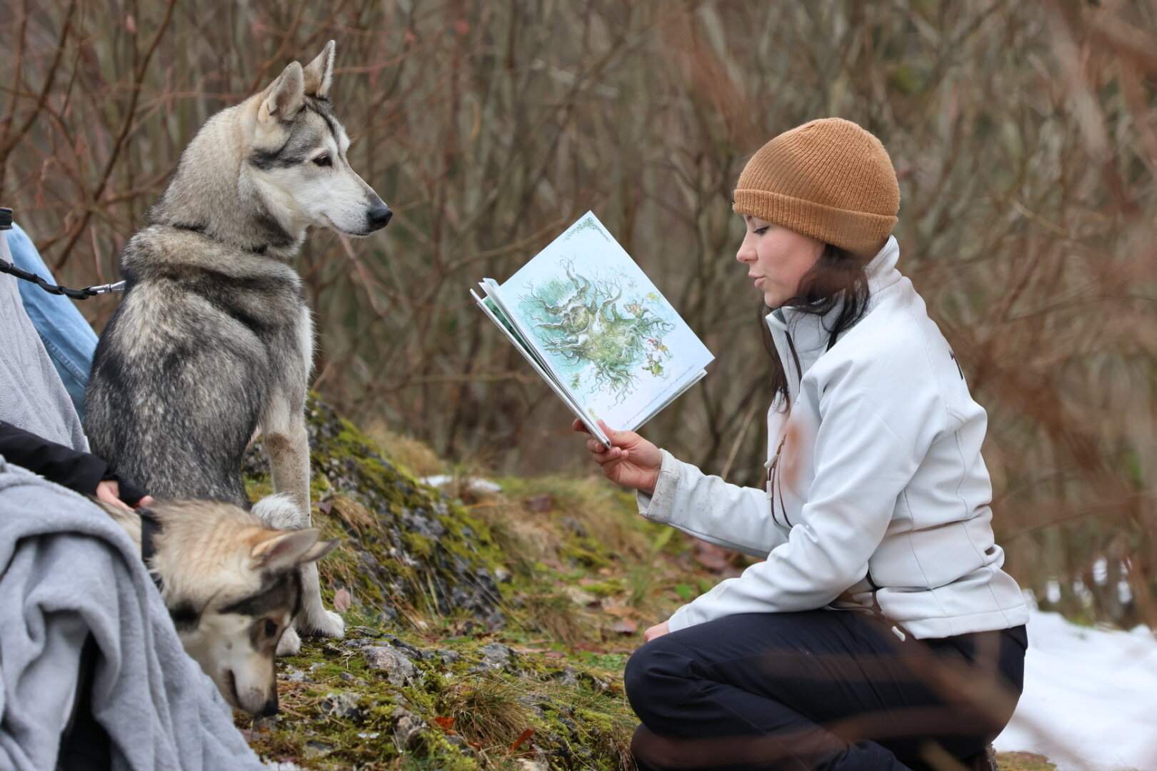 Husky en séance de zoothérapie en nature.