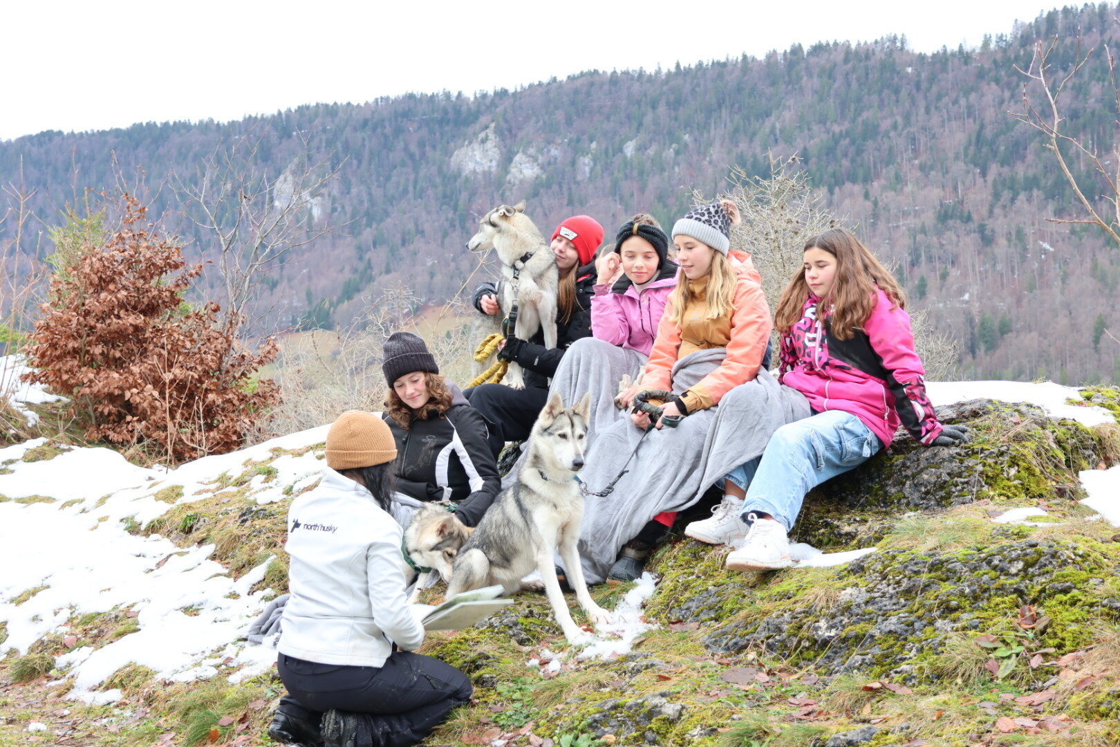 Activités familiales avec huskies en plein air.