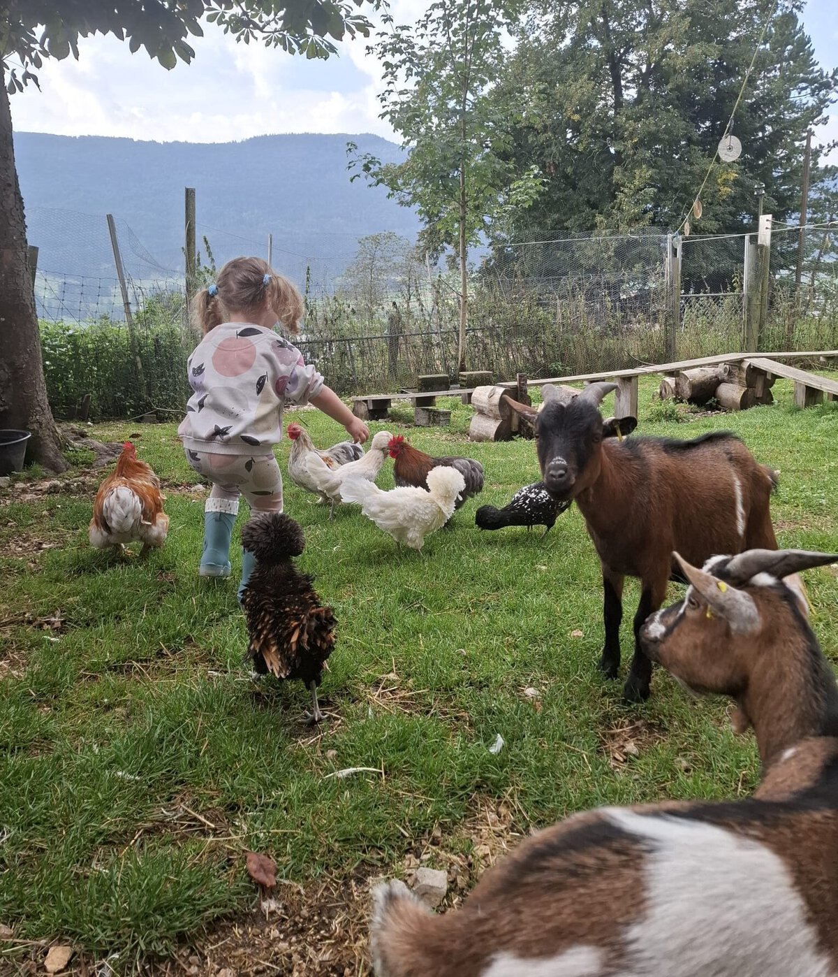 Enfant jouant avec des animaux de ferme dans un espace extérieur verdoyant.