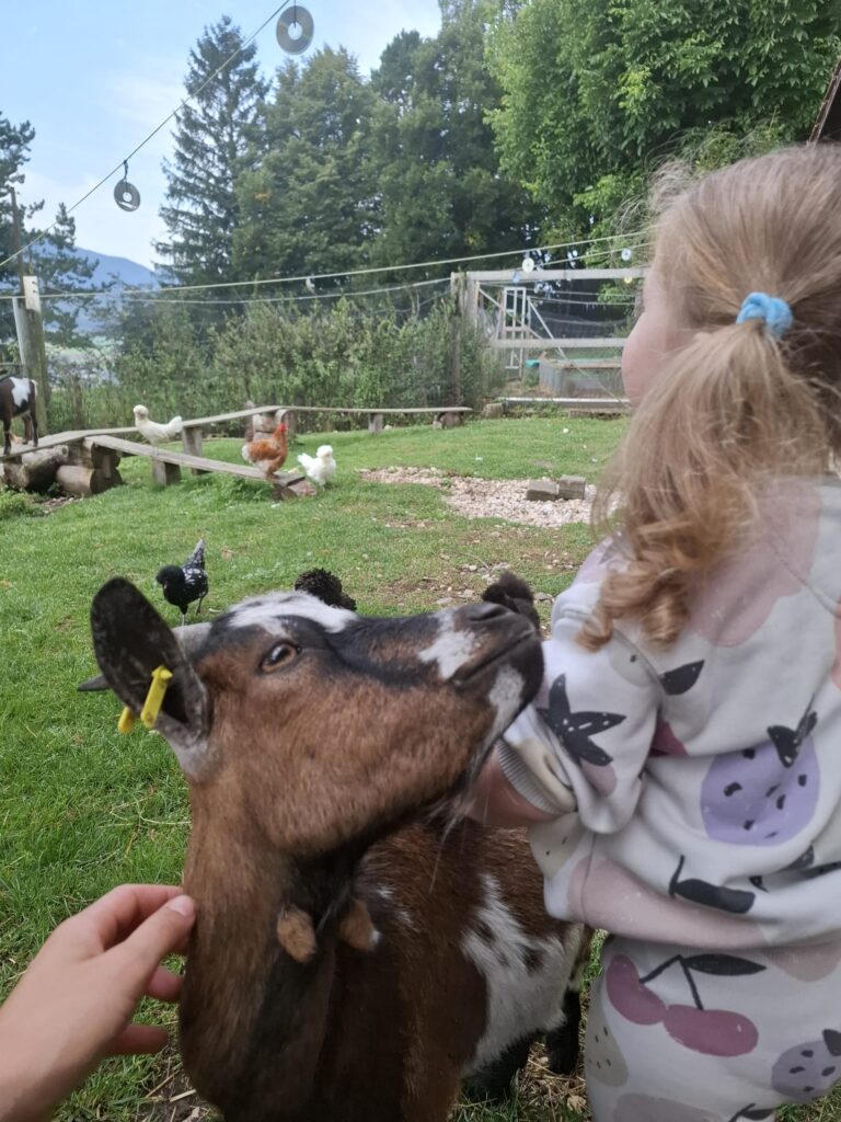 Jeune fille caressant une chèvre à la ferme La petite ferme.