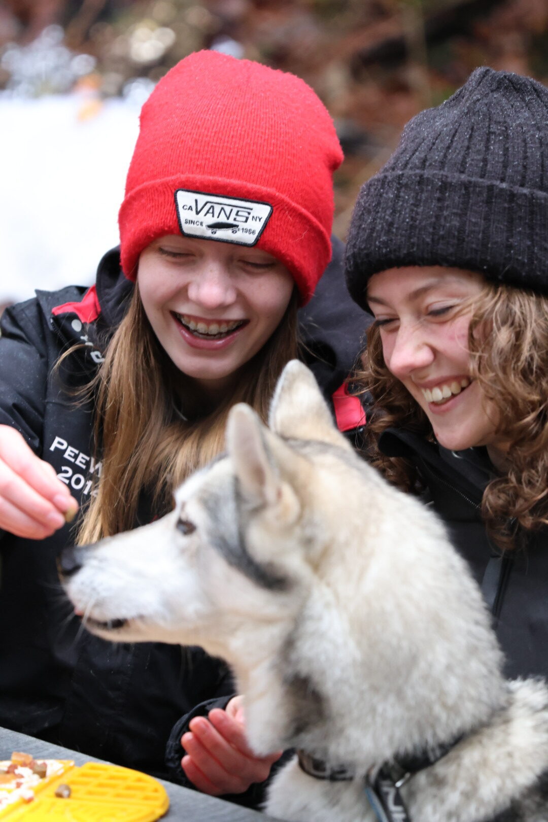 Famille avec husky lors d'activités en plein air, activités familiales.